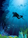 Beautiful coral reef and silhouettes of diver