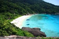 Beautiful coral view at similan island Royalty Free Stock Photo