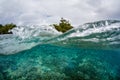 Health Coral Reef and Wave in Palau Royalty Free Stock Photo