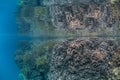 Coral Reef Drop Off in Palau`s Calm Lagoon Royalty Free Stock Photo