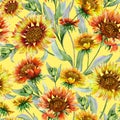 Beautiful coreopsis flowers with leaves on yellow background. Seamless botanical pattern. Watercolor painting. Royalty Free Stock Photo