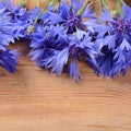 The beautiful cornflower on wooden background Royalty Free Stock Photo