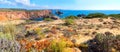 Beautiful costa vicentina with colorful vegetation, Carrapateira west algarve Royalty Free Stock Photo