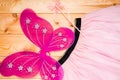 Beautiful costume of a butterfly princess for a young girl