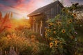 Beautiful Cottage Shed in Country Garden at Sunset Royalty Free Stock Photo