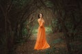 The beautiful countess in a long orange dress Royalty Free Stock Photo