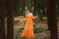 The beautiful countess in a long orange dress Royalty Free Stock Photo