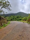 Beautiful country curve road on a rainy day