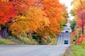 Beautiful country road in autumn foliage