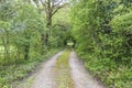 Beautiful country road in the greenery on spring Royalty Free Stock Photo
