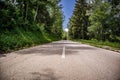 Country road in mountain with forest and green tree on summer sunny day