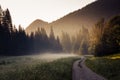 Beautiful countryroad across a green meadow with morning mist surrounded by forest at sunrise Royalty Free Stock Photo