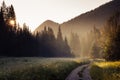 Beautiful countryroad across a green meadow with morning mist surrounded by forest at sunrise Royalty Free Stock Photo