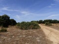 BEAUTIFUL COUNTRYSIDE VIEW IN SUMMER