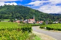 Traditional Husseren lex Chateaux village and vineyards,Alsace region,France. Royalty Free Stock Photo