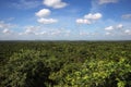 Beautiful countryside of Belize looking across the jungle to the horizon under a blight blue sky, Central America Royalty Free Stock Photo