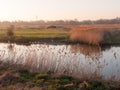 Beautiful countryside Dedham water scene outside nature landscape space Royalty Free Stock Photo