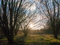 Beautiful countryside Dedham water scene outside nature landscape space Royalty Free Stock Photo