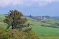 Beautiful countryside in Dorset, UK Royalty Free Stock Photo