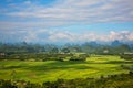 Beautiful countryside of Guilin, showing rice farms, Guilin China Royalty Free Stock Photo