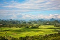 Beautiful countryside of Guilin, showing rice farms, Guilin China Royalty Free Stock Photo