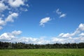 Beautiful rural countryside landscape with green field, mixed forest and white clouds on blue sky on summer day Royalty Free Stock Photo