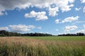 Beautiful countryside landscape with green field, deciduous forest and high grass  in the front under white clouds on blue sky Royalty Free Stock Photo