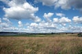 Beautiful countryside landscape with green field, deciduous forest and high grass  in the front under white clouds on blue sky Royalty Free Stock Photo