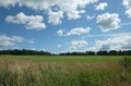 Beautiful countryside landscape with green field, deciduous forest and high grass  in the front under white clouds on blue sky Royalty Free Stock Photo