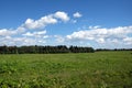 Beautiful rural countryside landscape with green field, mixed forest and white clouds on blue sky on summer day Royalty Free Stock Photo