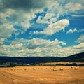 Beautiful countryside landscape. Hay bales in harvested fields Royalty Free Stock Photo