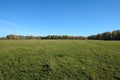 Beautiful countryside landscape with large green field and deciduous forest at far under white clouds on blue sky in the da Royalty Free Stock Photo