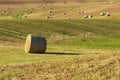 Beautiful countryside landscape near Siena in Tuscany, Italy. Round straw bales hay balls in harvested fields and blue sky. Royalty Free Stock Photo