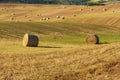 Beautiful countryside landscape near Siena in Tuscany, Italy. Round straw bales hay balls in harvested fields and blue sky. Royalty Free Stock Photo