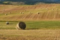 Beautiful countryside landscape near Siena in Tuscany, Italy. Round straw bales hay balls in harvested fields and blue sky. Royalty Free Stock Photo