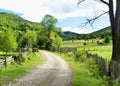 Beautiful Countryside Landscape ,Road and Vegetation