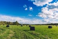 Beautiful countryside landscape. Round straw bales in black plastic in green field Royalty Free Stock Photo