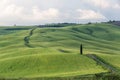 Beautiful countryside landscapes in Tuscany with rolling hills during the sunset Royalty Free Stock Photo