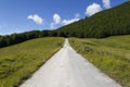 Beautiful countryside road Royalty Free Stock Photo