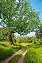 Beautiful countryside scene