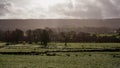 Beautiful countryside view of a glorious sunrise over grassy rural landscape in Devon