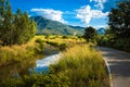 Countryside View in Thailand