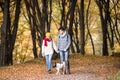 Beautiful couple with dog walking in autumn forest Royalty Free Stock Photo