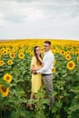 Beautiful couple having fun in sunflowers field. A man and a woman in love walk in a field with sunflowers, a man hugs a woman. Royalty Free Stock Photo