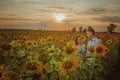 Beautiful couple having fun in sunflowers fields Royalty Free Stock Photo