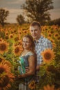 Beautiful couple having fun in sunflowers fields Royalty Free Stock Photo