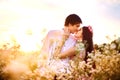 Beautiful couple kissing on nature in a yellow field of wheat in Royalty Free Stock Photo