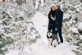 Couple in love and Siberian husky dog walking in snowy winter forest Royalty Free Stock Photo