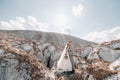 A beautiful couple of lovers posing in a white salt mountain. A young woman in a stylish wedding dress and a beautiful stylish man Royalty Free Stock Photo