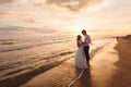 A beautiful couple of newlyweds, the bride and groom walking on the beach. Gorgeous sunset and sky. Wedding dresses, a